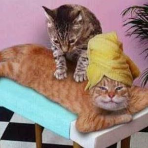 Meet your Posher, Christine